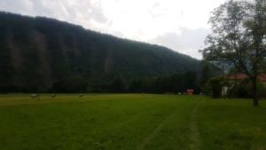 Otvoritev učnega čebelnjaka (11)-1800